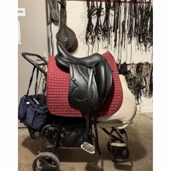 Antares Selles De Dressage><noscript><img width=