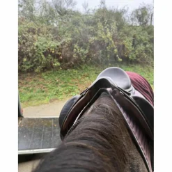 Selle dressage childric*Childeric Outlet
