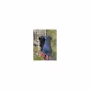 CWD Selles De Dressage>Selle dressage