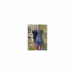 CWD Selles De Dressage>Selle dressage
