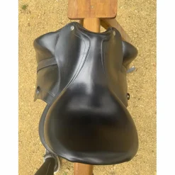 Selle dressage*CWD Clearance