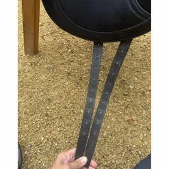 Selle dressage*CWD Clearance