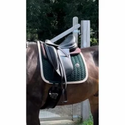 Equipe Selles De Dressage>Selle dressage Emporio