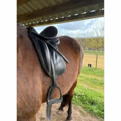 Forestier Selles De Dressage><noscript><img width=