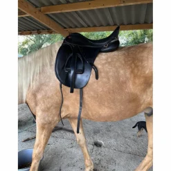 selle dressage kent & Master*- Marque inconnue - New