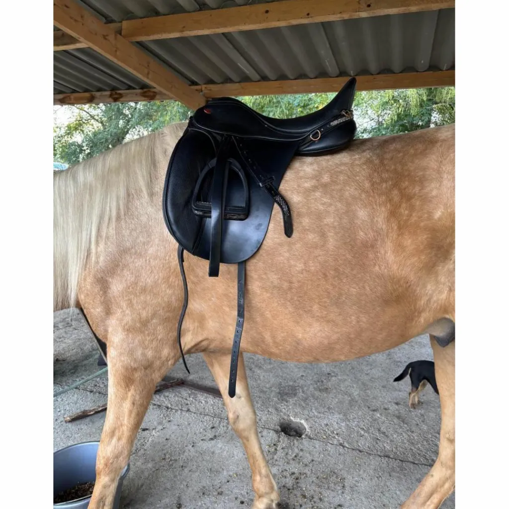 selle dressage kent & Master*- Marque inconnue - New