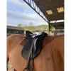 Kieffer Selles De Dressage>Selle dressage