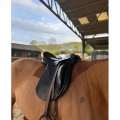 Kieffer Selles De Dressage>Selle dressage
