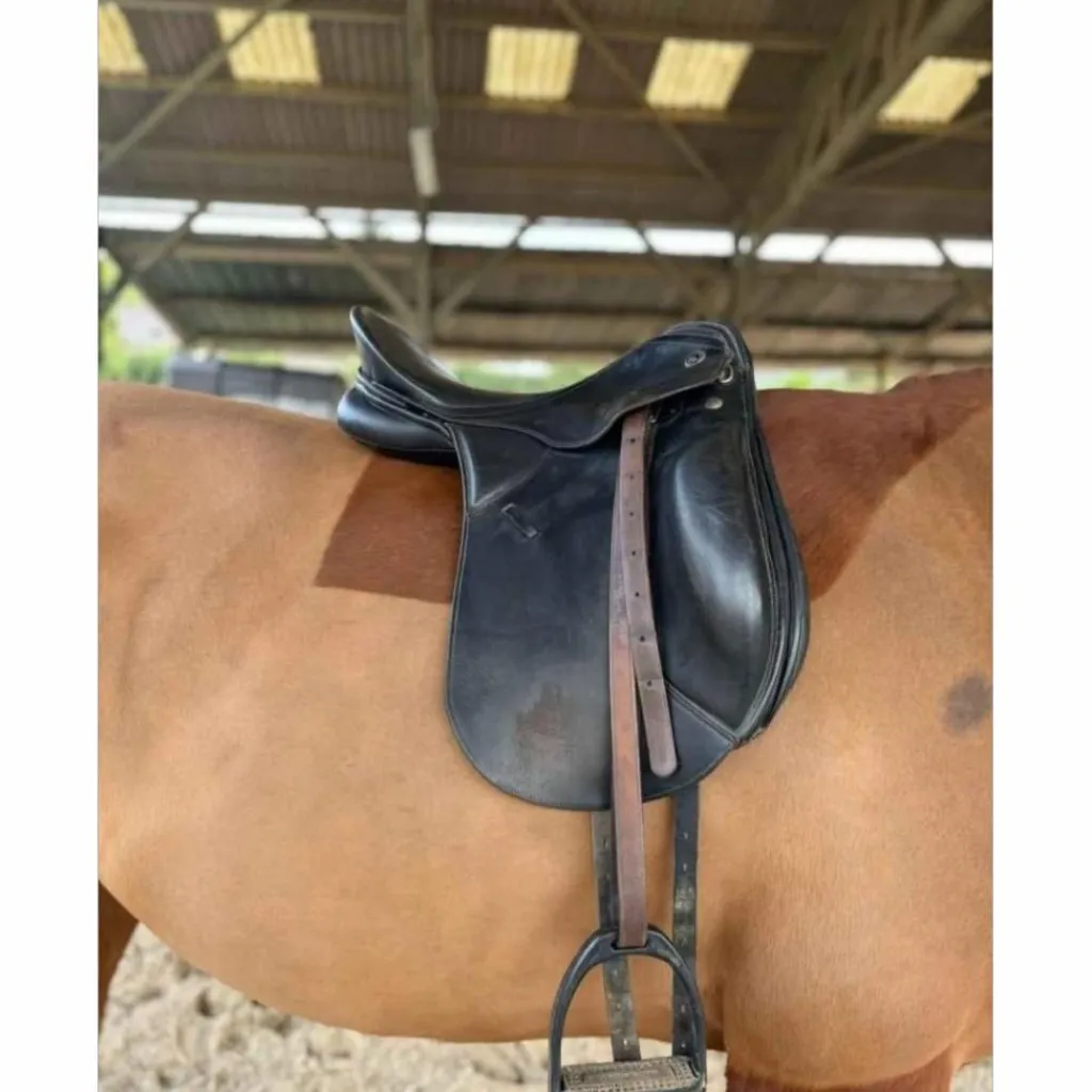 Kieffer Selles De Dressage>Selle dressage