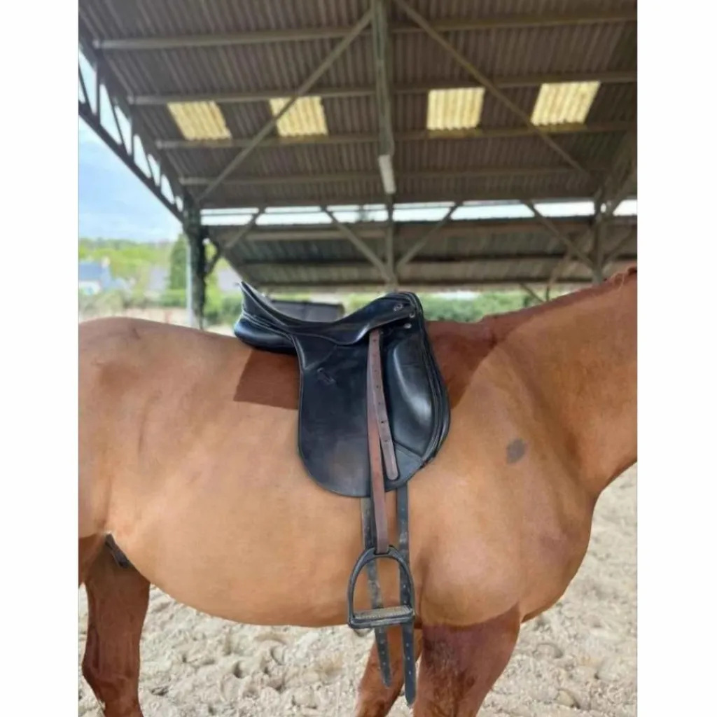 Kieffer Selles De Dressage>Selle dressage
