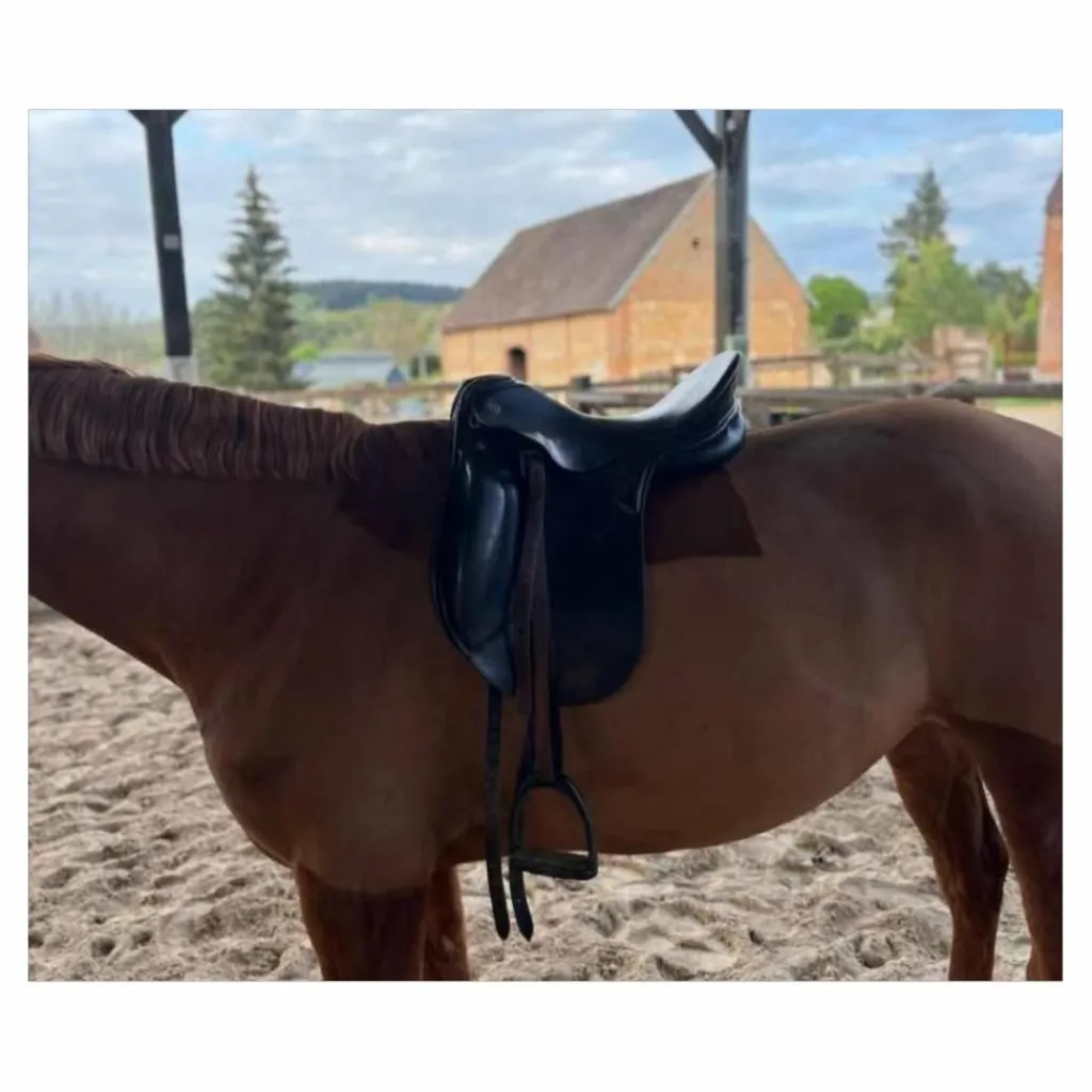 Kieffer Selles De Dressage>Selle dressage