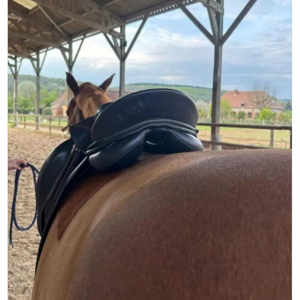 Kieffer Selles De Dressage>Selle dressage