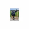 Selle dressage noire 17' excellent état*Vincent Gaffet Discount