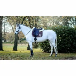 Selle dressage premiere equine*Premier Equine Outlet