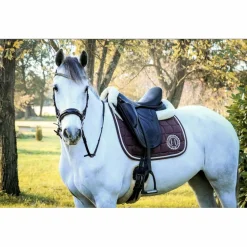 Selle dressage premiere equine*Premier Equine Outlet
