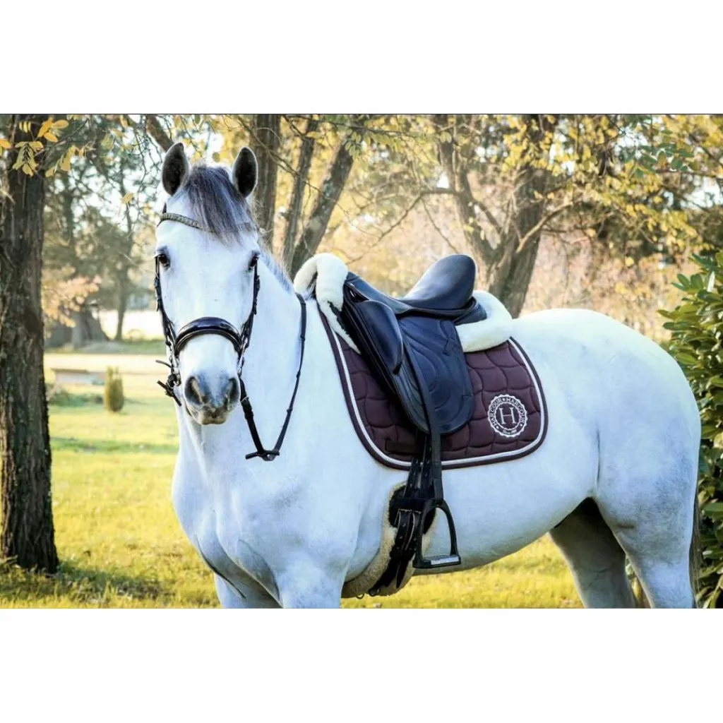 Selle dressage premiere equine*Premier Equine Outlet