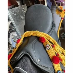 Selle Dressage ISABELLE WERTH*Wintec New