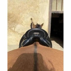 Zaldi Selles De Dressage><noscript><img width=