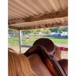 Selle dressage*Zaldi Best
