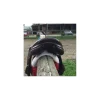 Selle Monoquartier*Equipe Clearance