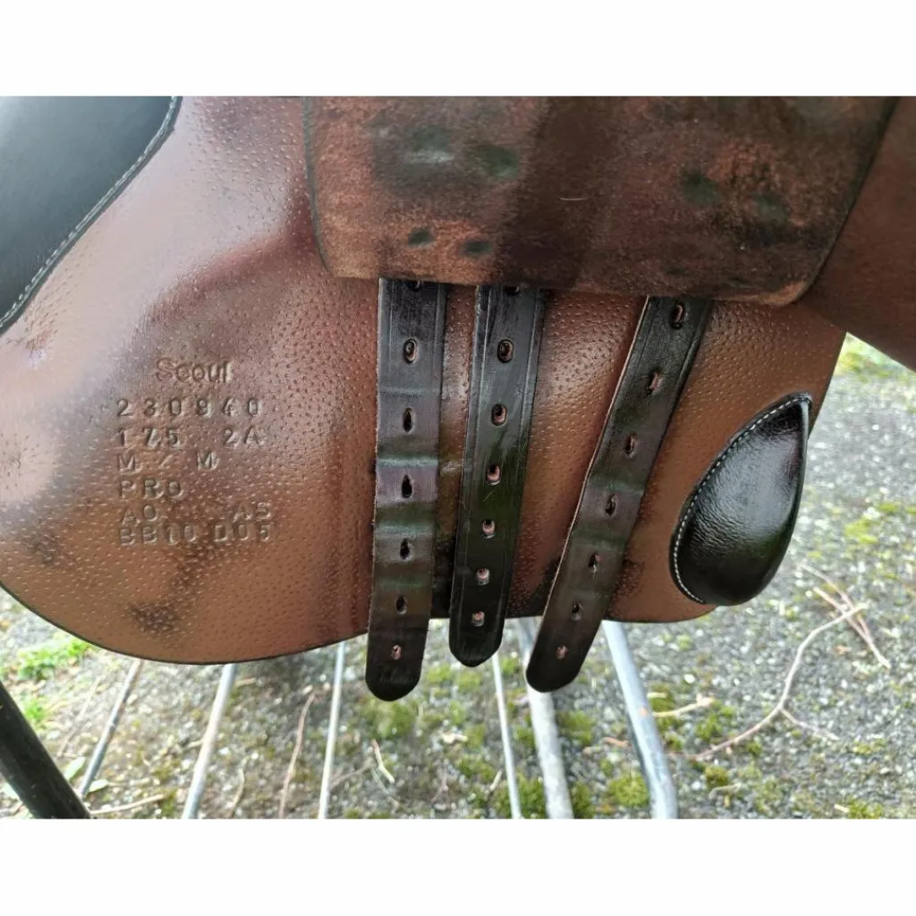 Forestier Selles Mixtes>Selle