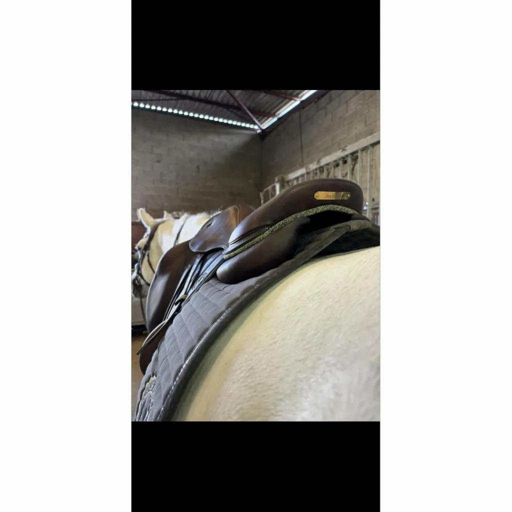selle*Forestier New