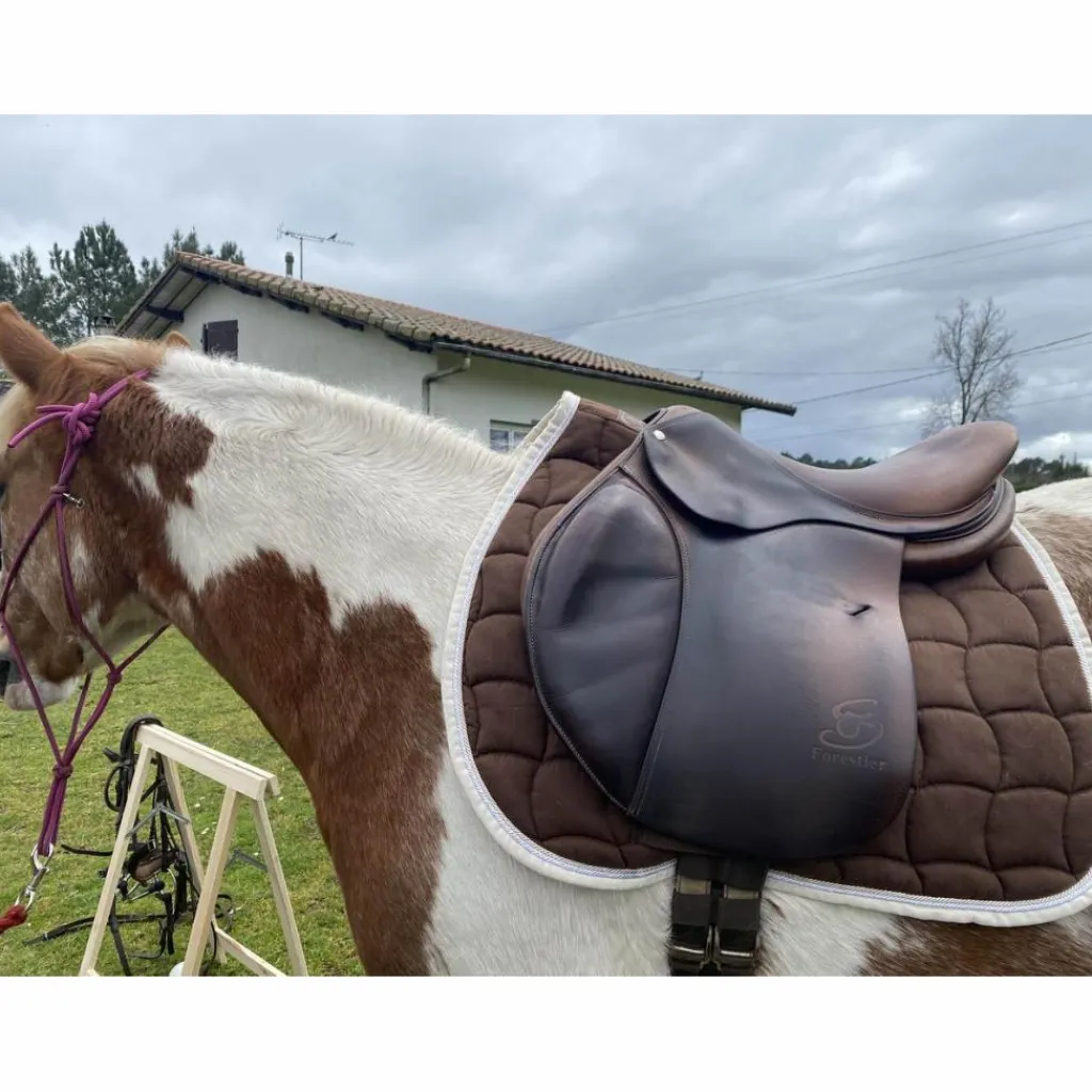 Forestier Selles D'Obstacle>selle