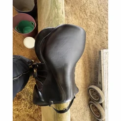 Selle*Forestier Discount