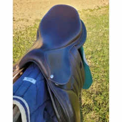 Selle - Séoul*Forestier Hot