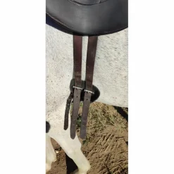 Forestier Selles De Cross><noscript><img width=