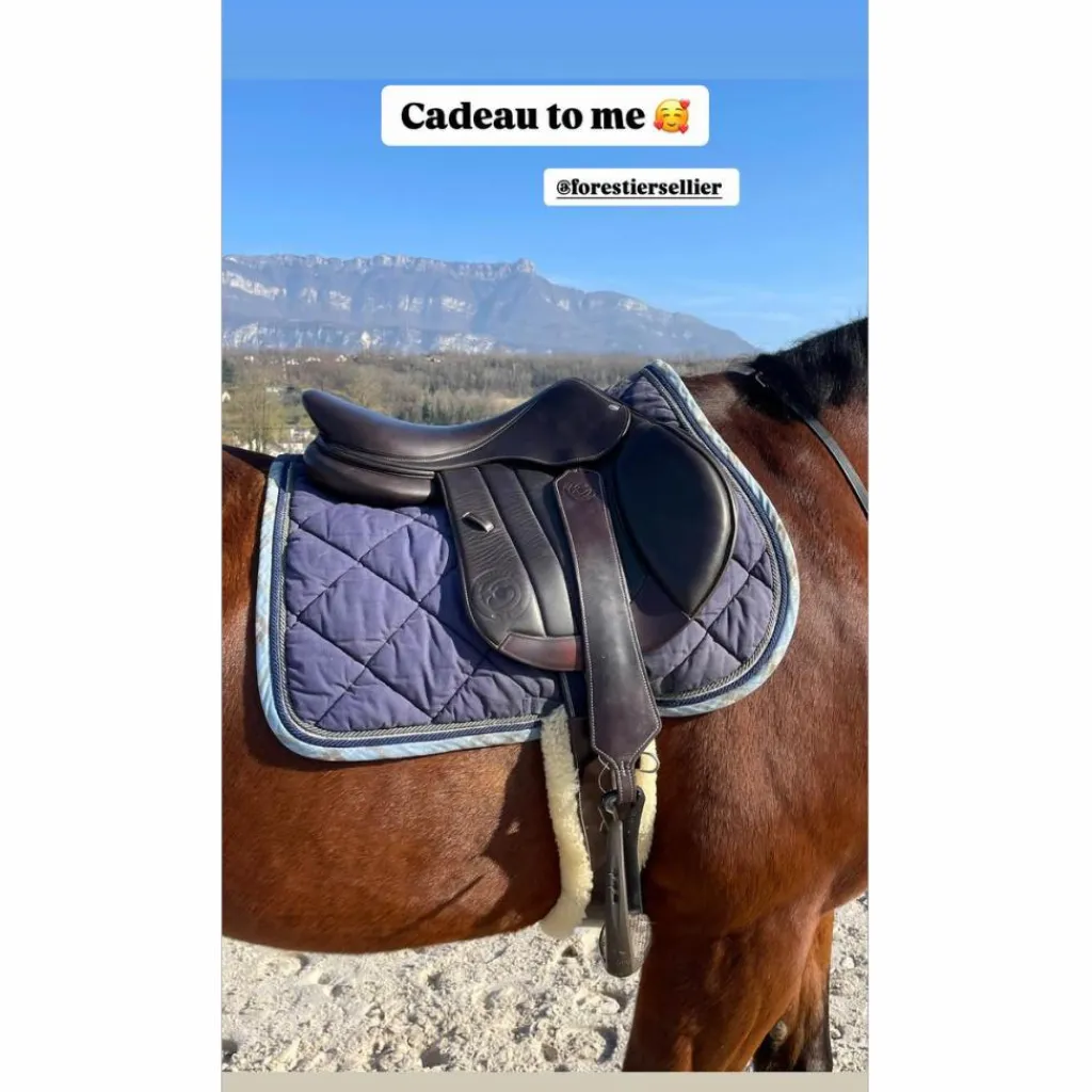 Forestier Selles D'Obstacle>selle Seoul 17.5 marron