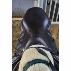 Selle Séoul*Forestier Hot