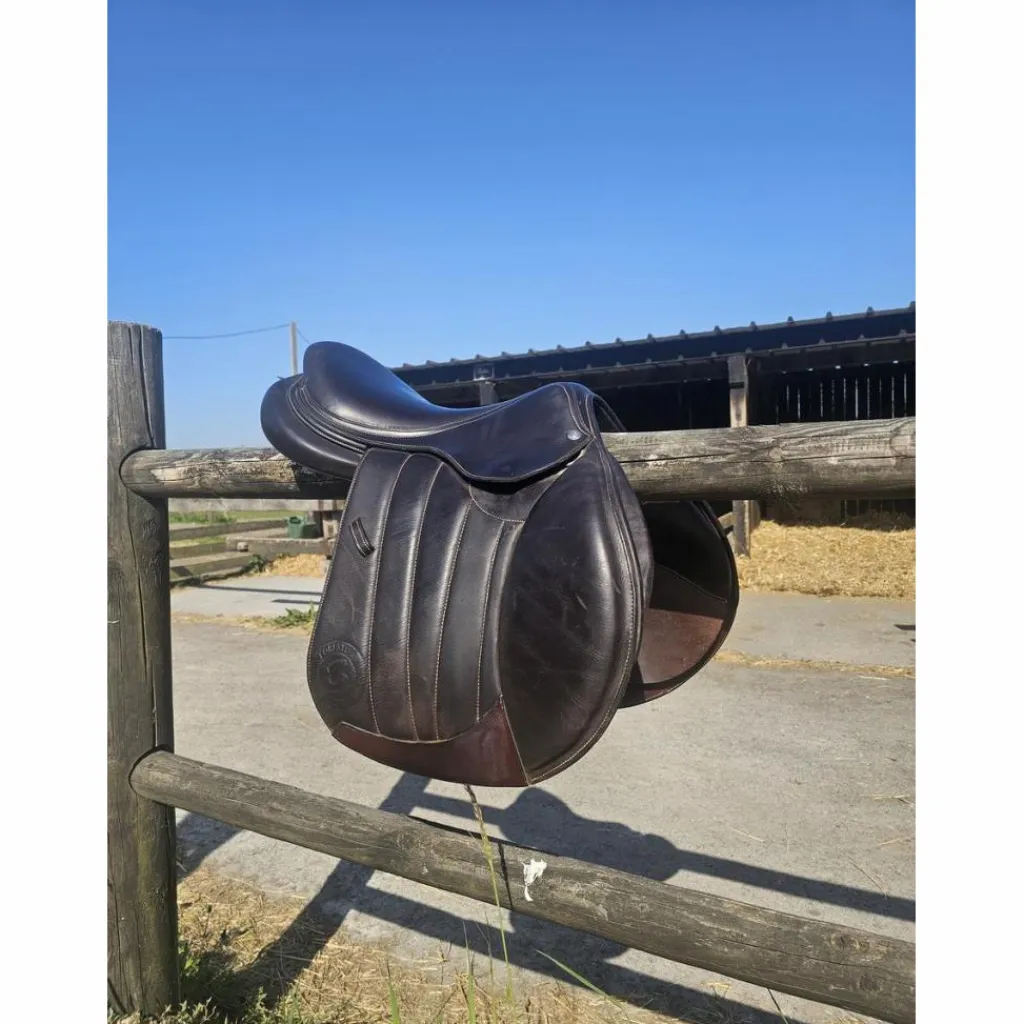 Selle Séoul*Forestier New