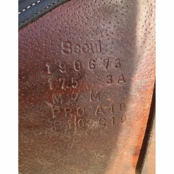 Selle Séoul*Forestier New