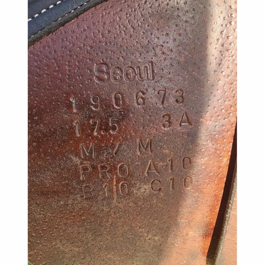 Selle Séoul*Forestier New