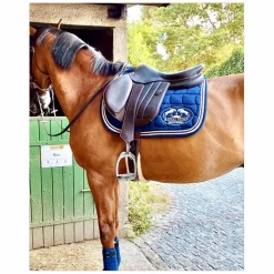 Forestier Selles D'Obstacle><noscript><img width=