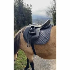 selle Noire*Fouganza Hot