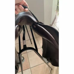 Selle*GBS Clearance