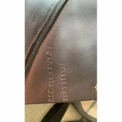 Selle*GBS Clearance