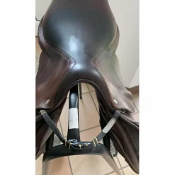 Selle*GBS Clearance