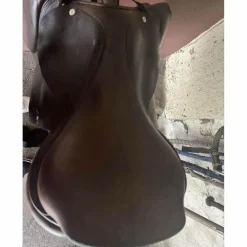 GBS Selles Mixtes><noscript><img width=