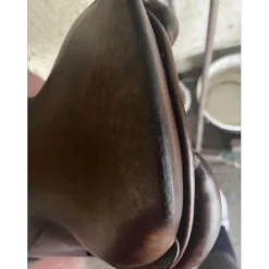 GBS Selles Mixtes><noscript><img width=