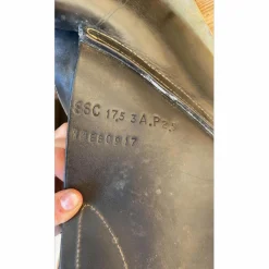 GBS Selles Mixtes><noscript><img width=