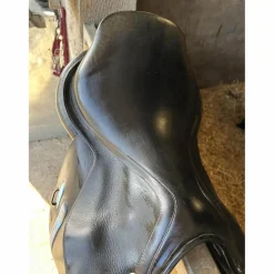 GBS Selles Mixtes><noscript><img width=