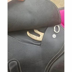 GBS Selles Mixtes><noscript><img width=