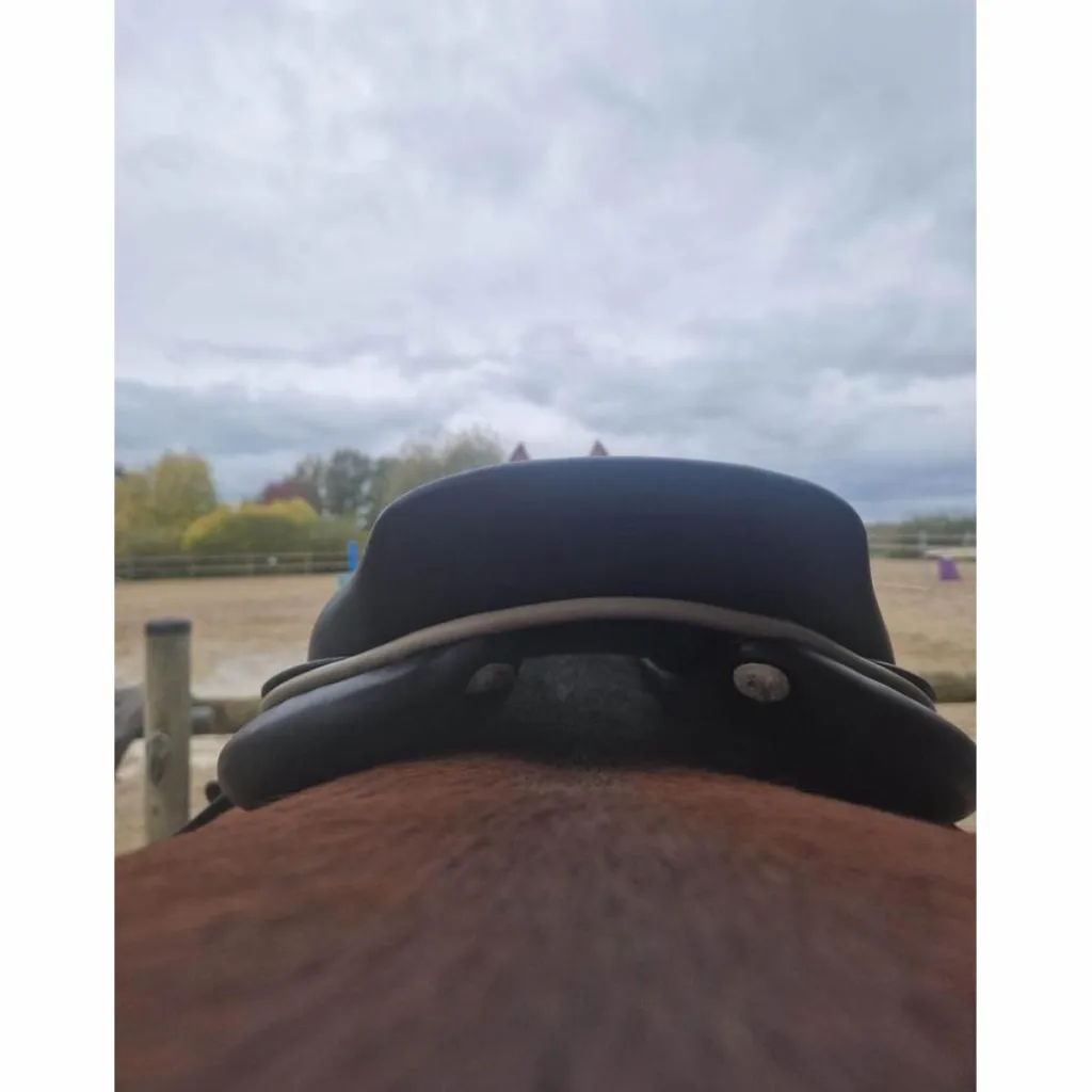GBS Selles Mixtes>selle 16,5