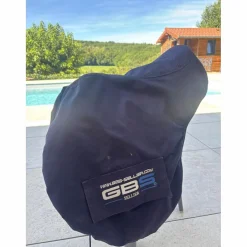 GBS Selles Mixtes><noscript><img width=