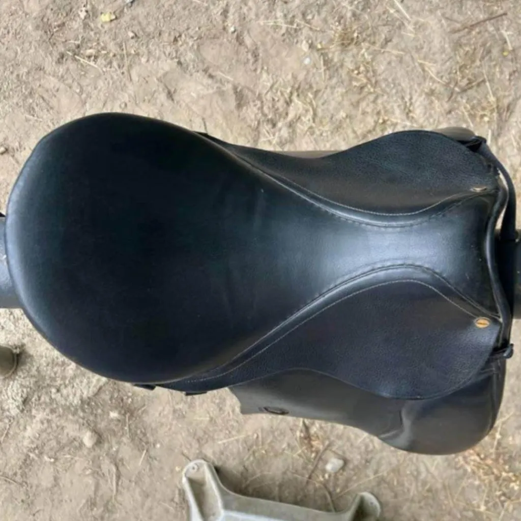 selle mixte 17,5*Geologic Best