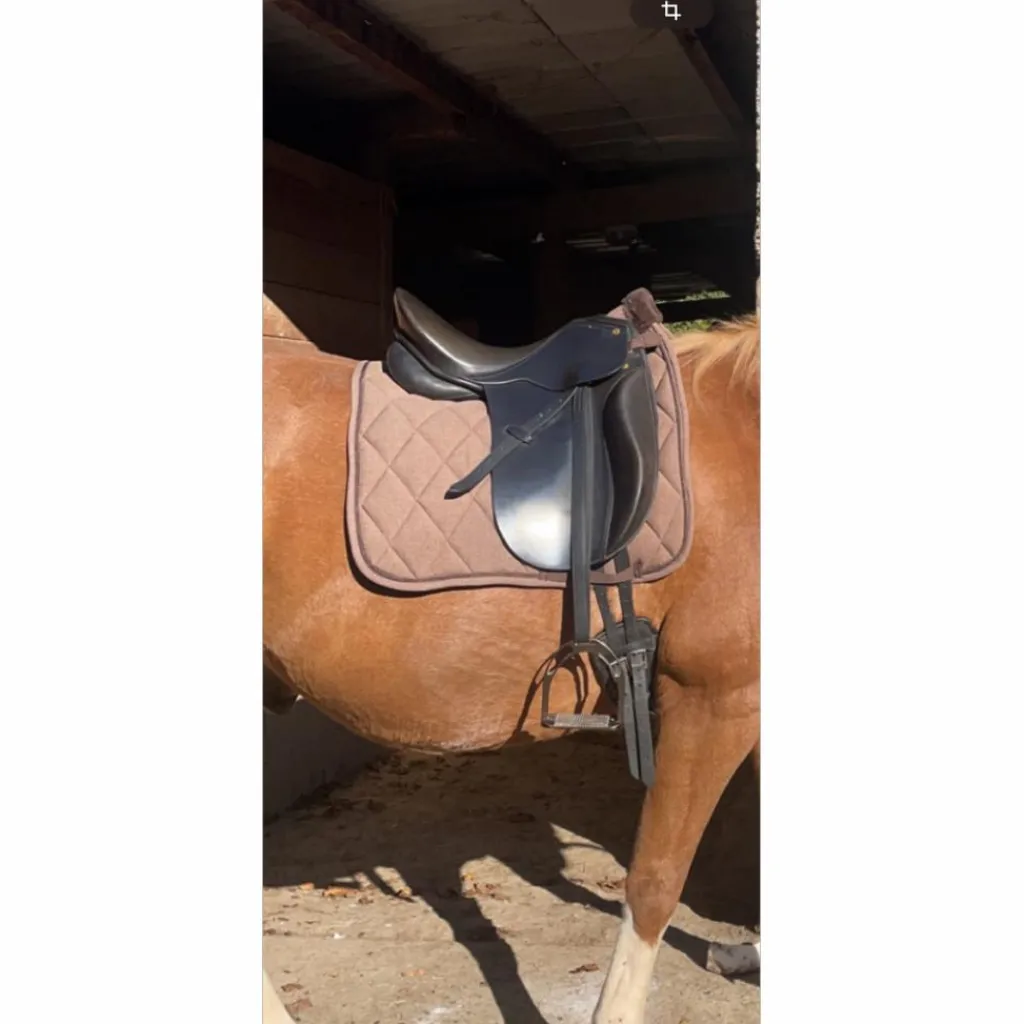 Henri de Rivel Selles De Dressage>Selle