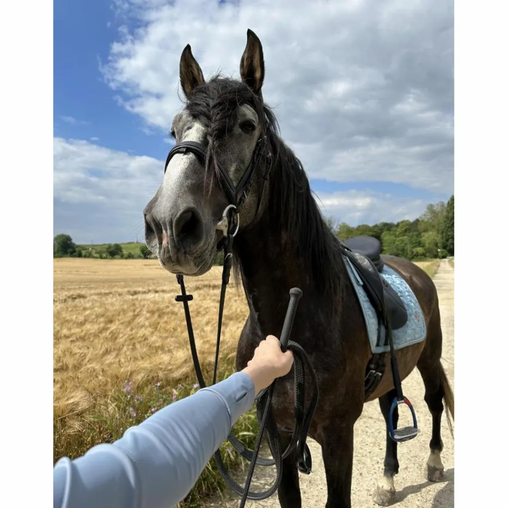 Selle hg dressage 18*Herve Godignon - Jump'in Outlet